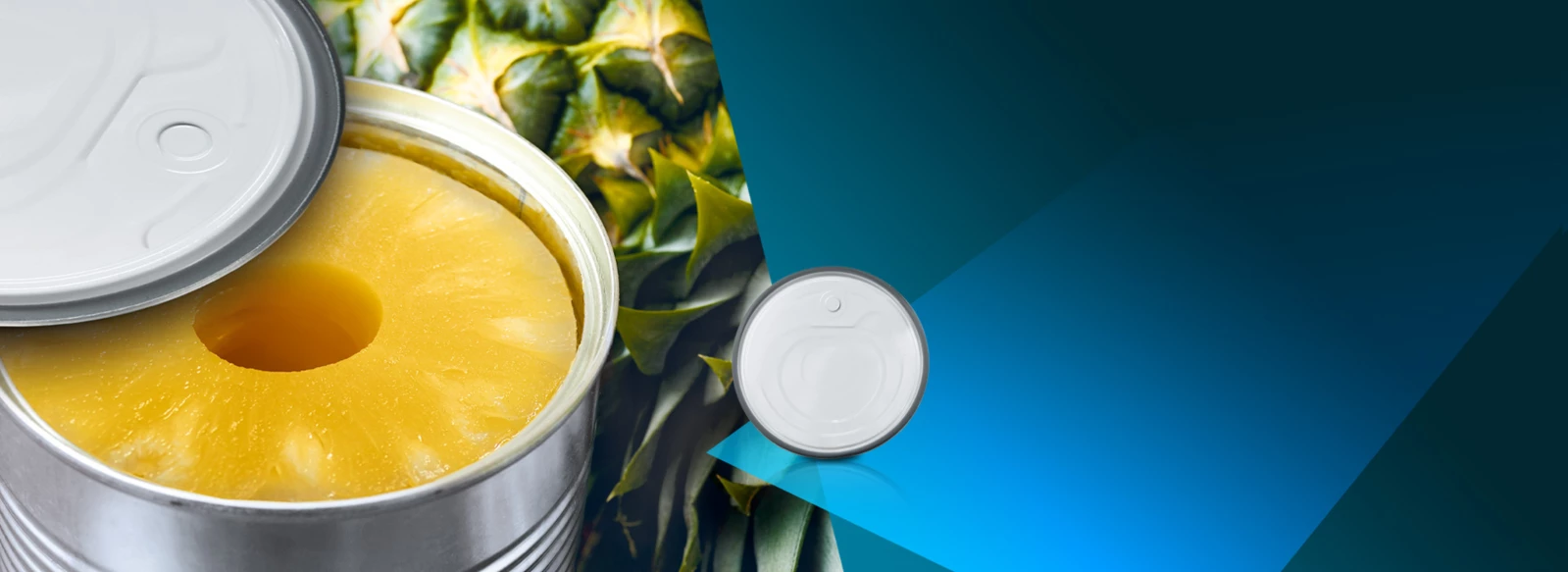 f2d3e5c73a0c-sealingcompounds_ananas_wakol_web-highlight_1920x700_v2.jpg