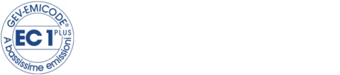 303d61ac2da3-ec1_plus_it_cmyk_768x170.png