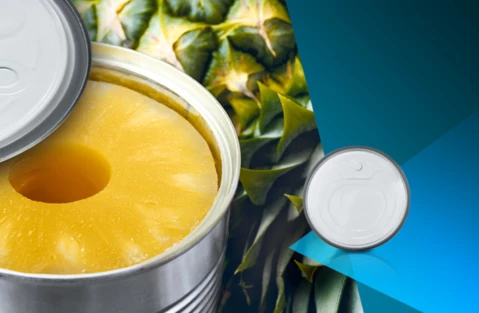 863871d5bd53-sealingcompounds_ananas_wakol_web-highlight_795x519_v2.jpg